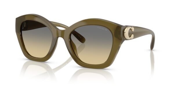 0HC8421U__5872L0__P21__shad__qt COACH HC8421U 5872LO54-22 140 2N A