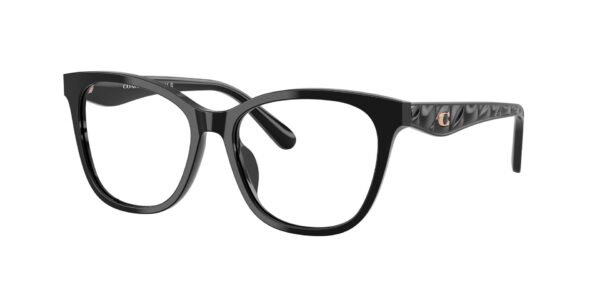 0HC6256U__5002__P21__noshad__qt COACH HC 6256U 5002 51-16 140 A